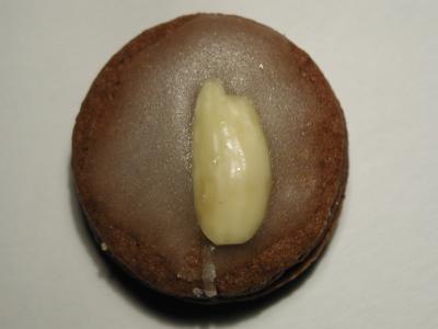 Image nourriture biscuit chocolat à télécharger gratuitement
