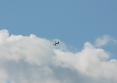 Image bleu avion ciel nuage à télécharger gratuitement
