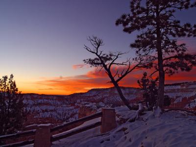 Image arbre paysage ciel nuage neige à télécharger gratuitement