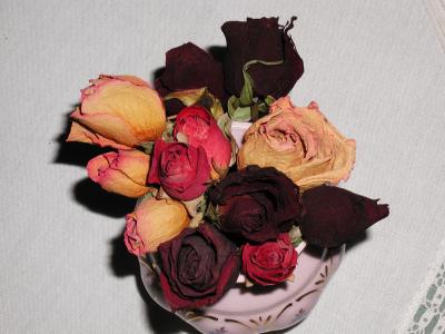 Image fleur rose vase à télécharger gratuitement
