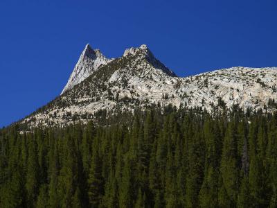 Image arbre paysage montagne à télécharger gratuitement