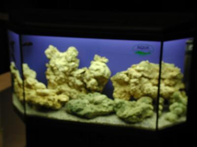 Image aquarium à télécharger gratuitement