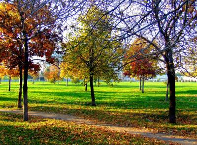 Image arbre feuille paysage herbe parc à télécharger gratuitement