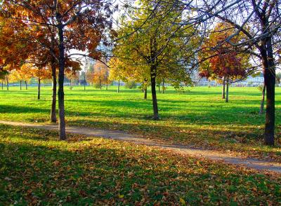 Image arbre paysage herbe parc à télécharger gratuitement