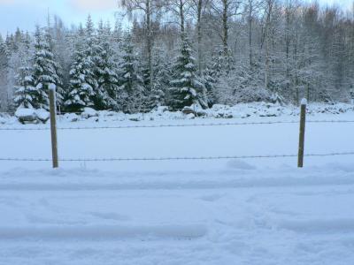 Image arbre neige clôture à télécharger gratuitement