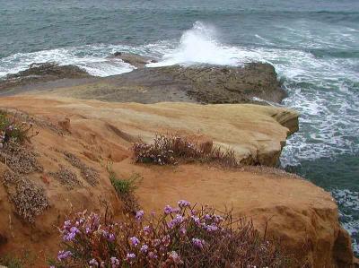 Image mer vague rocher à télécharger gratuitement