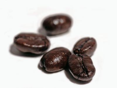 Image café fève grain à télécharger gratuitement