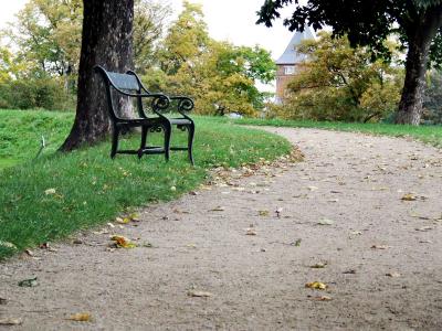 Image arbre chemin parc banc à télécharger gratuitement