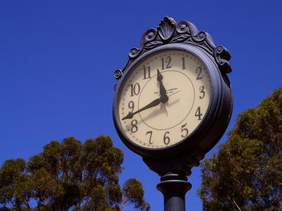 Image arbre bleu ciel horloge à télécharger gratuitement