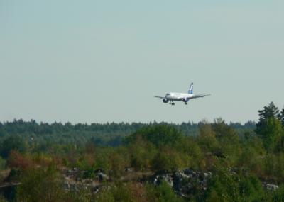 Image forêt arbre avion atterrissage à télécharger gratuitement