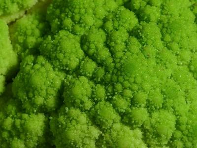 Image légume nourriture vert brocoli à télécharger gratuitement