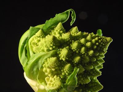 Image légume nourriture brocoli à télécharger gratuitement